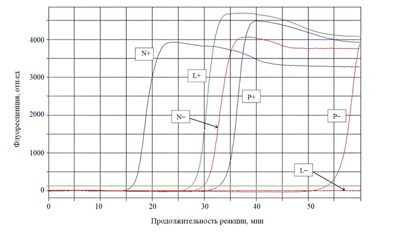 Изображение на обложке